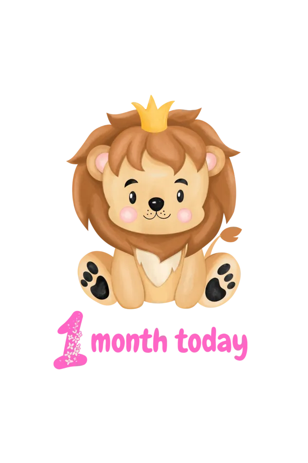 1 Month Celebration :  Lion Baby Gril Rompers Printed For Your Baby's Monthly Milestone