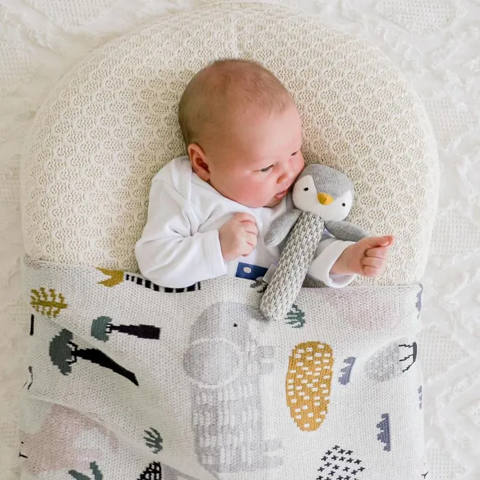 Asher Animals Baby Blanket