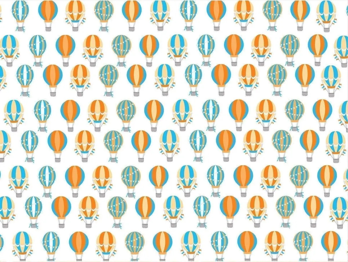 Bear and Hot Air Balloons 2 Pack Receiving Blankets