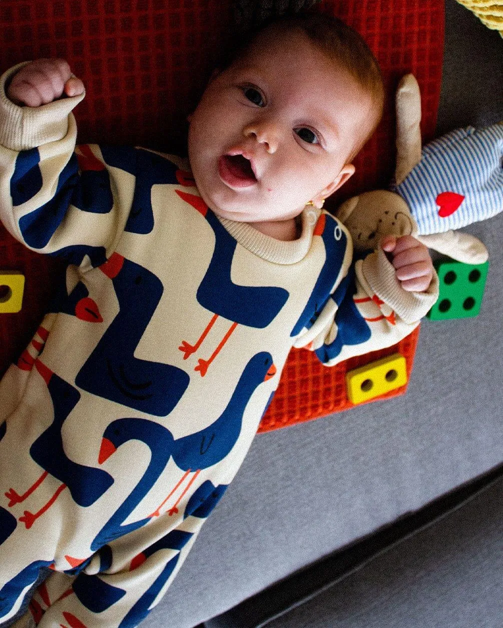 Birds Babysuit
