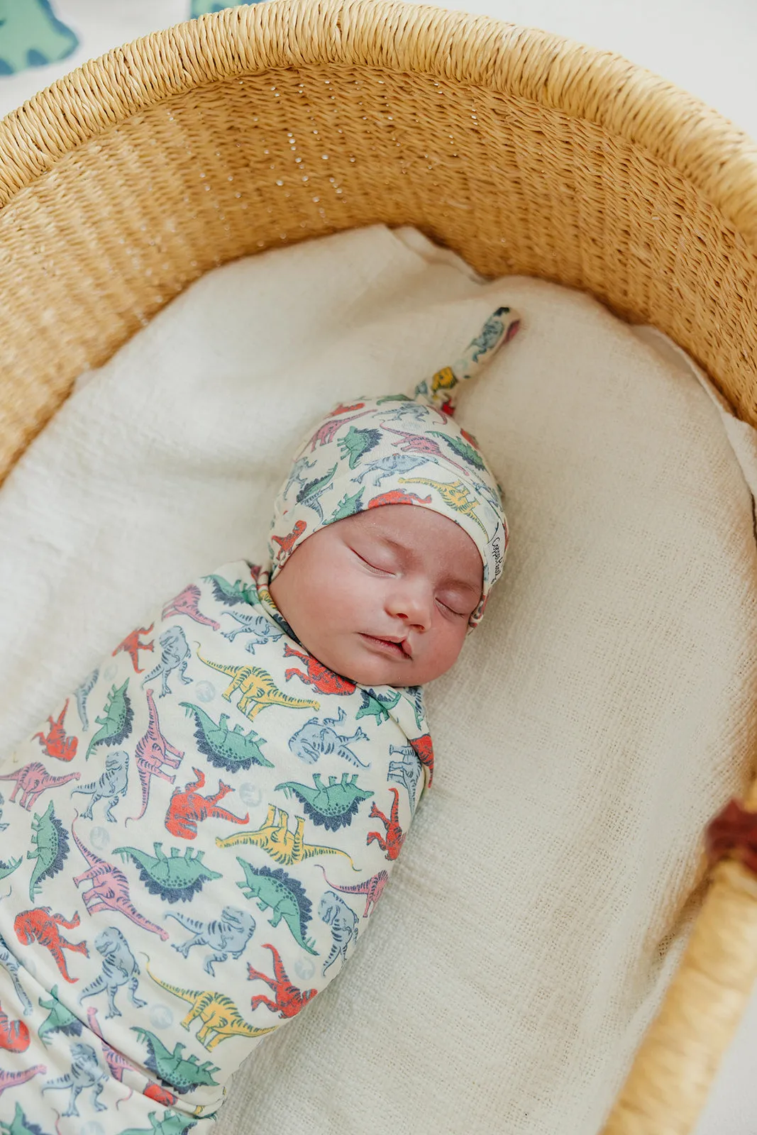 Copper Pearl Knit Swaddle Blanket | Dinosaurs of Jurassic Park