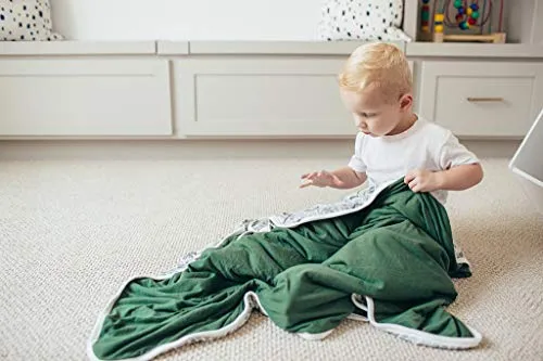 Copper Pearl Large Premium Knit Baby 3 Layer Stretchy Quilt Blanket"Alta" by Copper Pearl
