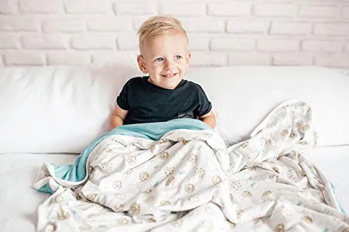 Copper Pearl Large Premium Knit Baby 3 Layer Stretchy Quilt Blanket"Chip" by Copper Pearl